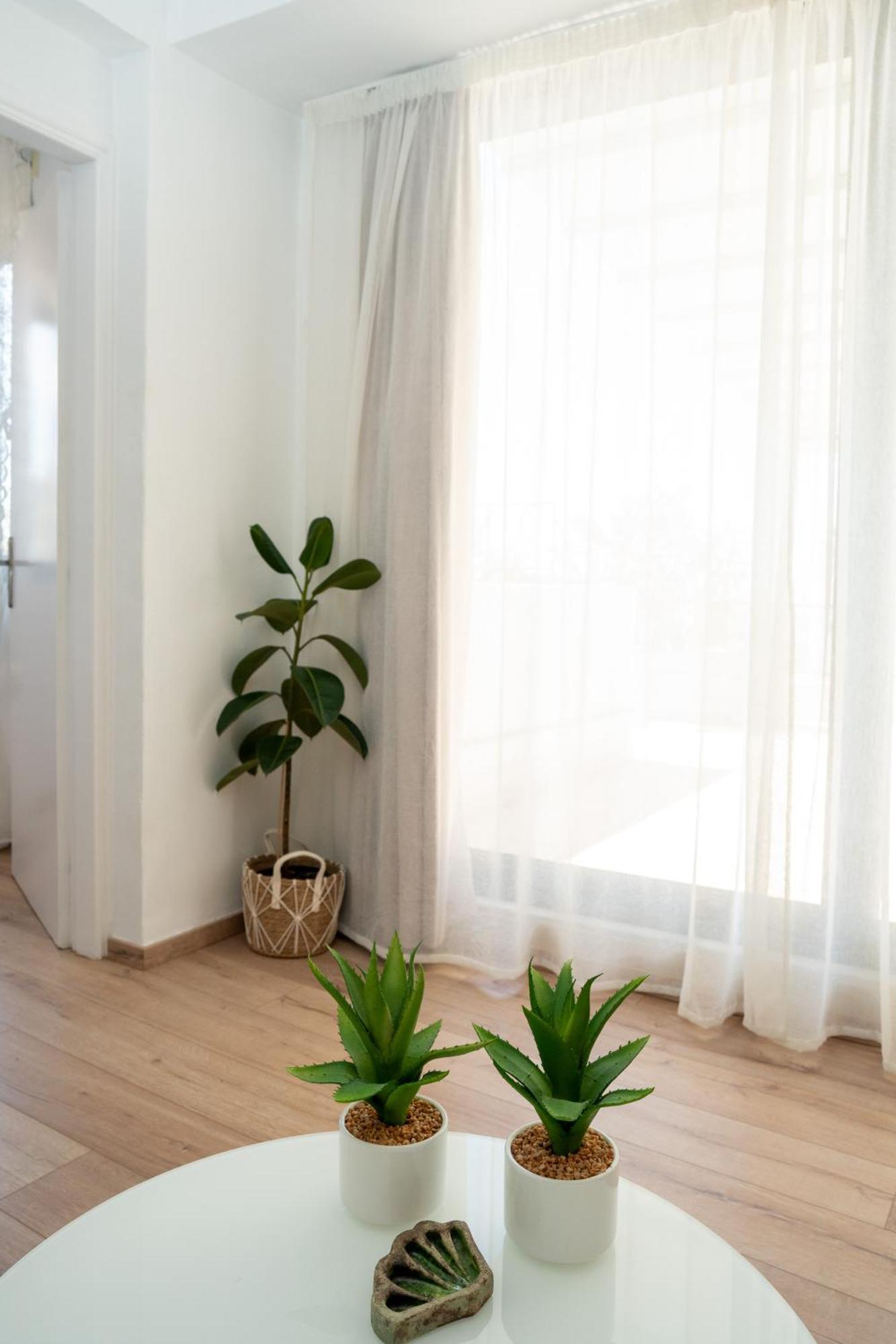 V&V Acropolis View Apartment เอเธนส์ ภายนอก รูปภาพ